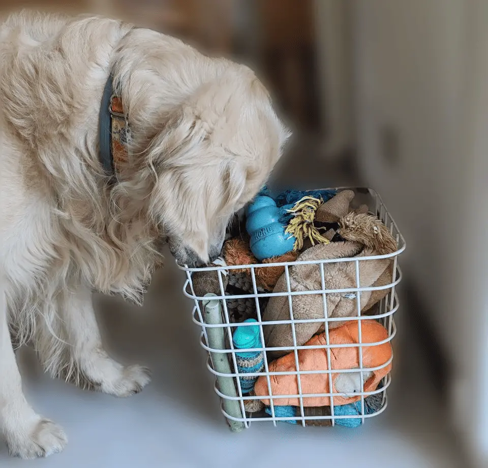 Cesta di giocattoli di Quid